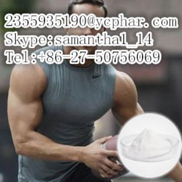 Testosterone Undecanoate Cas No.:5949-44-0